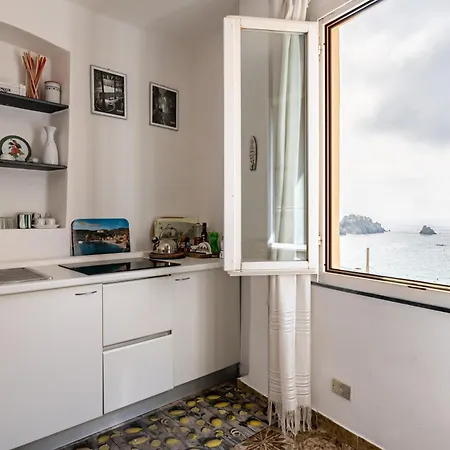 Monterosso Al Mare! Seaview Flat アパート モンテロッソ・アル・マーレ